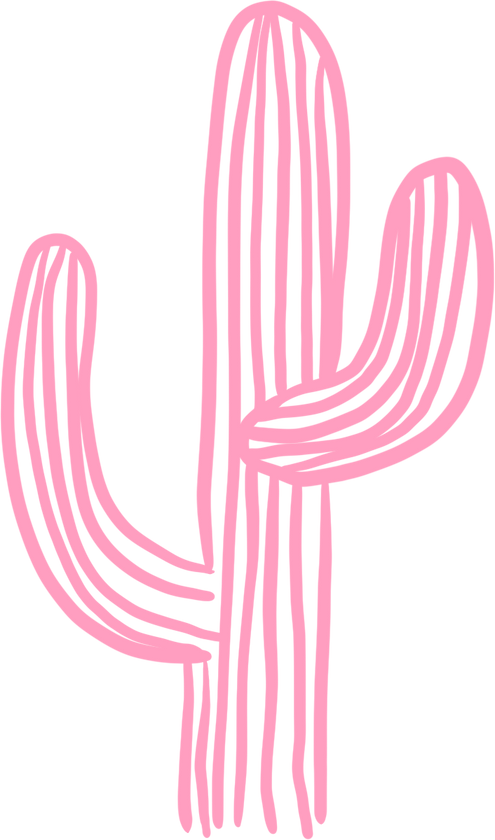 Pink Cactus Drawing